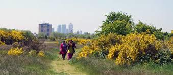 Wanstead Flats
